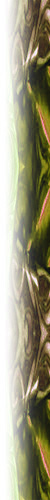 Hintergrundbild